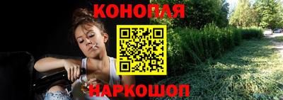 твердый Будённовск